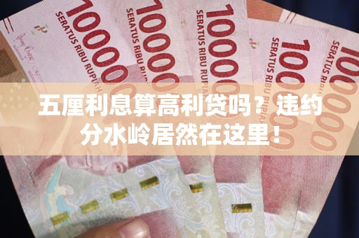 武汉五厘利息算高利贷吗？违约分水岭居然在这里！