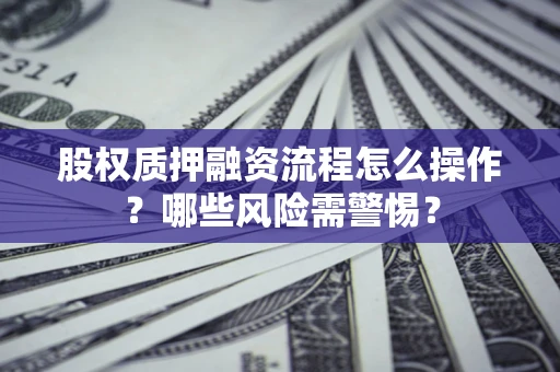 武汉股权质押融资流程怎么操作？哪些风险需警惕？