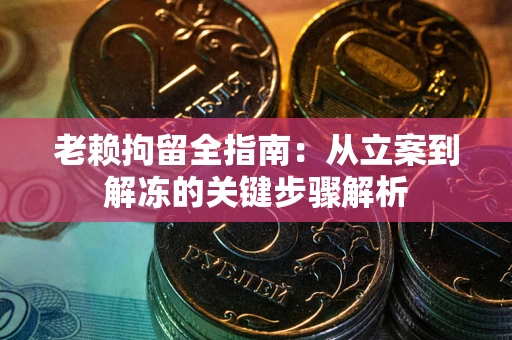武汉老赖拘留全指南：从立案到解冻的关键步骤解析