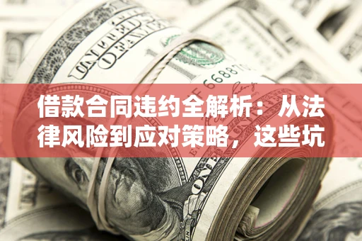武汉借款合同违约全解析：从法律风险到应对策略，这些坑别再踩！