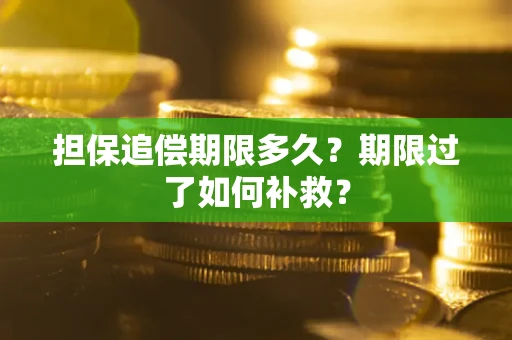 武汉担保追偿期限多久？期限过了如何补救？