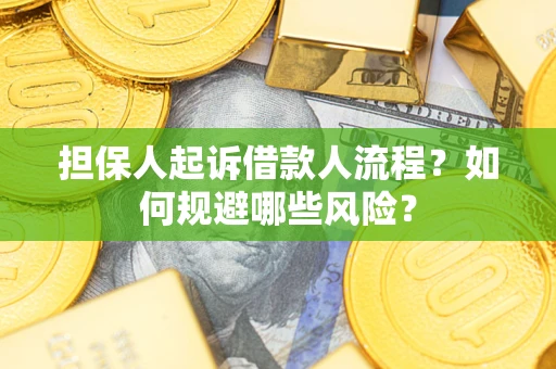 武汉担保人起诉借款人流程？如何规避哪些风险？