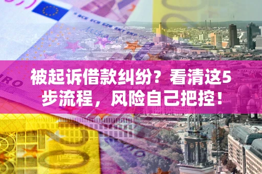 武汉被起诉借款纠纷？看清这5步流程，风险自己把控！